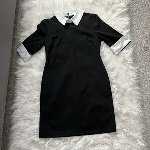 Black dress with collar - Wednesday